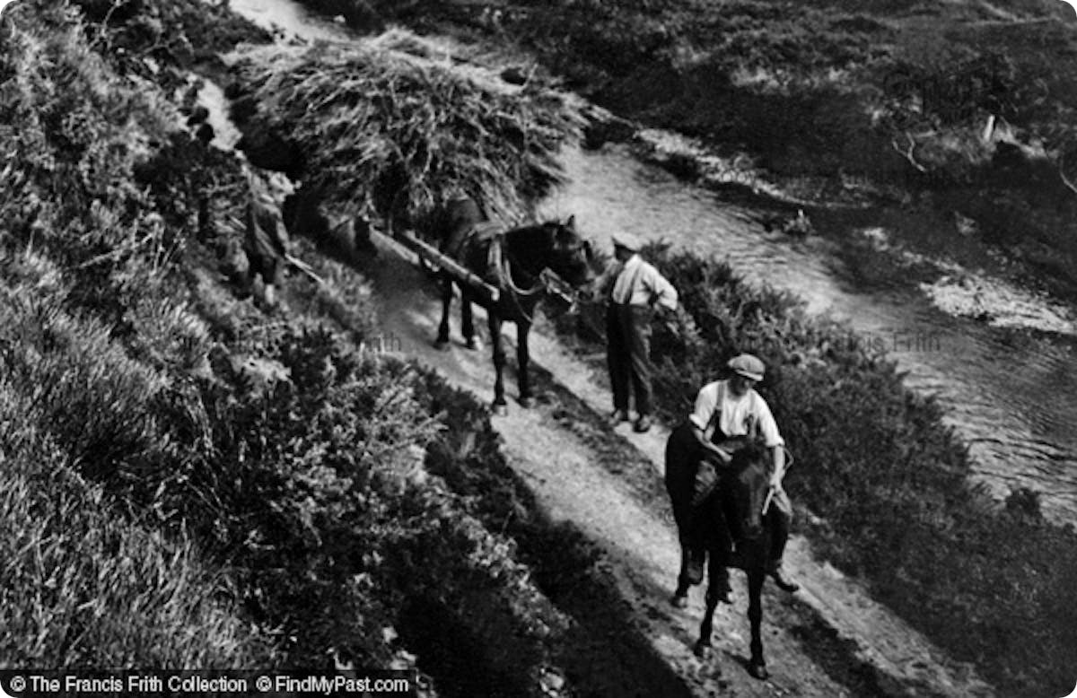 Farmers in Wales, 1920s