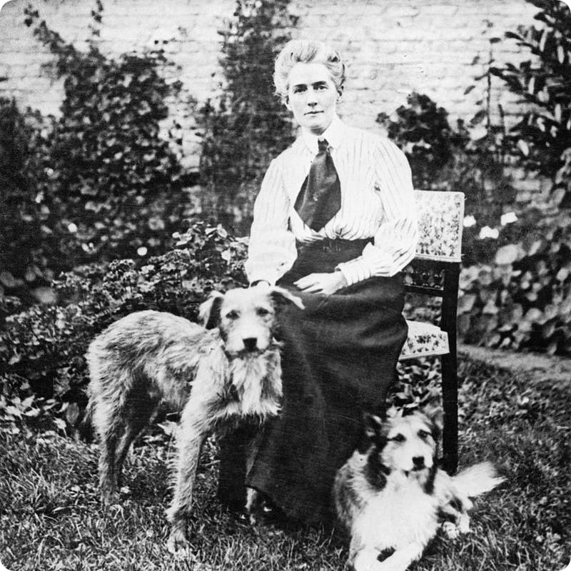 edith cavell with dogs