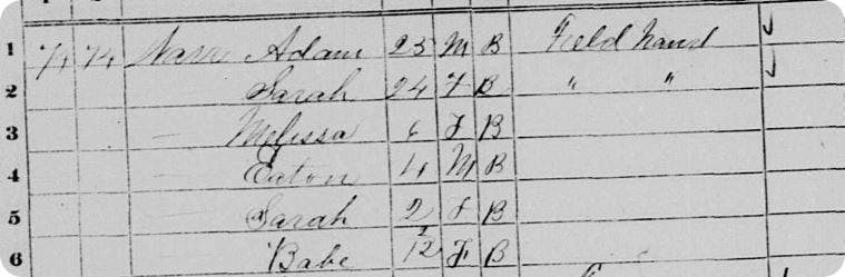 The Warr family in the 1870 US Census