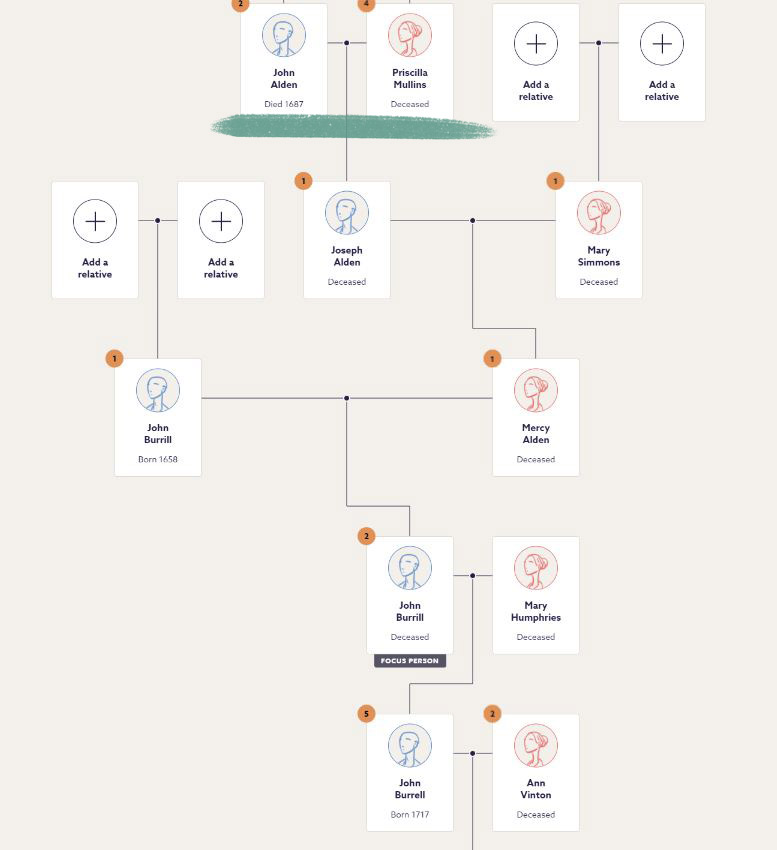 Tamsin Todd Findmypast family tree