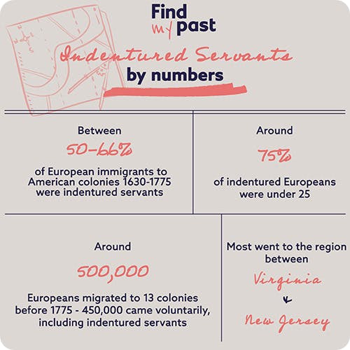 Indentured servitude statistics