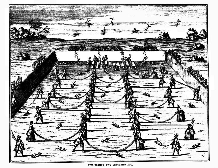 Fox-tossing pictured in the Field, 1889.