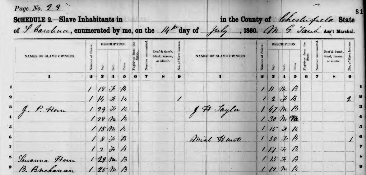 A snapshot of the US Slave Schedule, 1860.