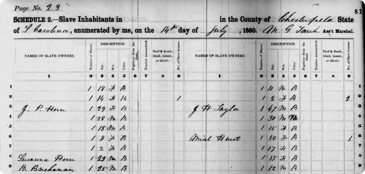 A snapshot of the US Slave Schedule, 1860.