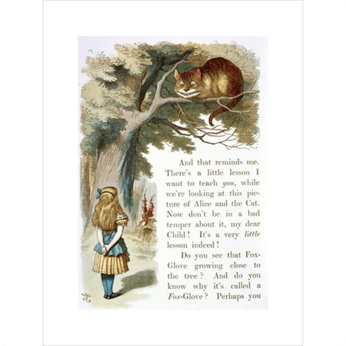 Alice and the Cheshire Cat print by John Tenniel, available from the British Library.