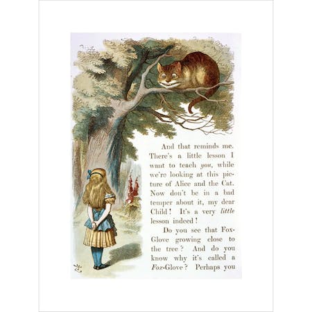 Alice and the Cheshire Cat print by John Tenniel, available from the British Library.