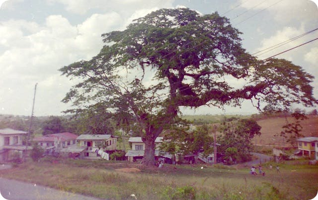 Retrench Estate, Trinidad