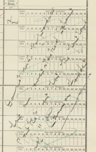 A Census return demonstrating the cynicism of some citizens. 