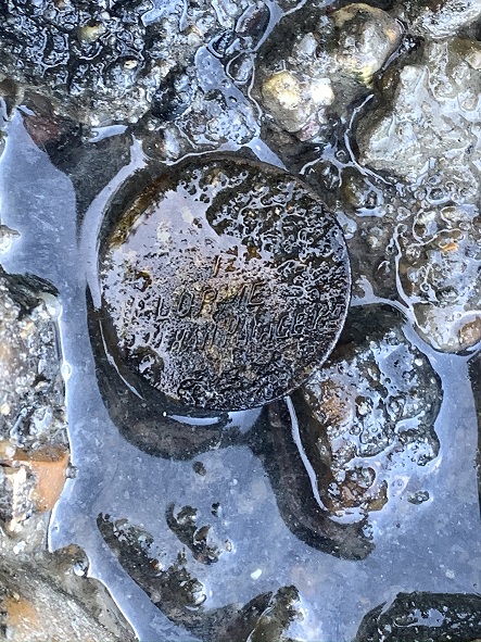 Mudlarking dog tag discovery