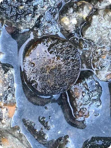 Mudlarking dog tag discovery