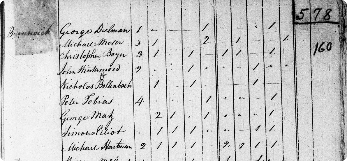 Early US census records