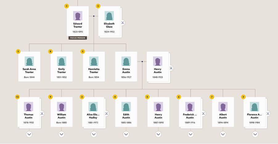 The Austin family tree on Findmypast.