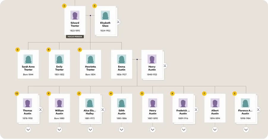 The Austin family tree on Findmypast.