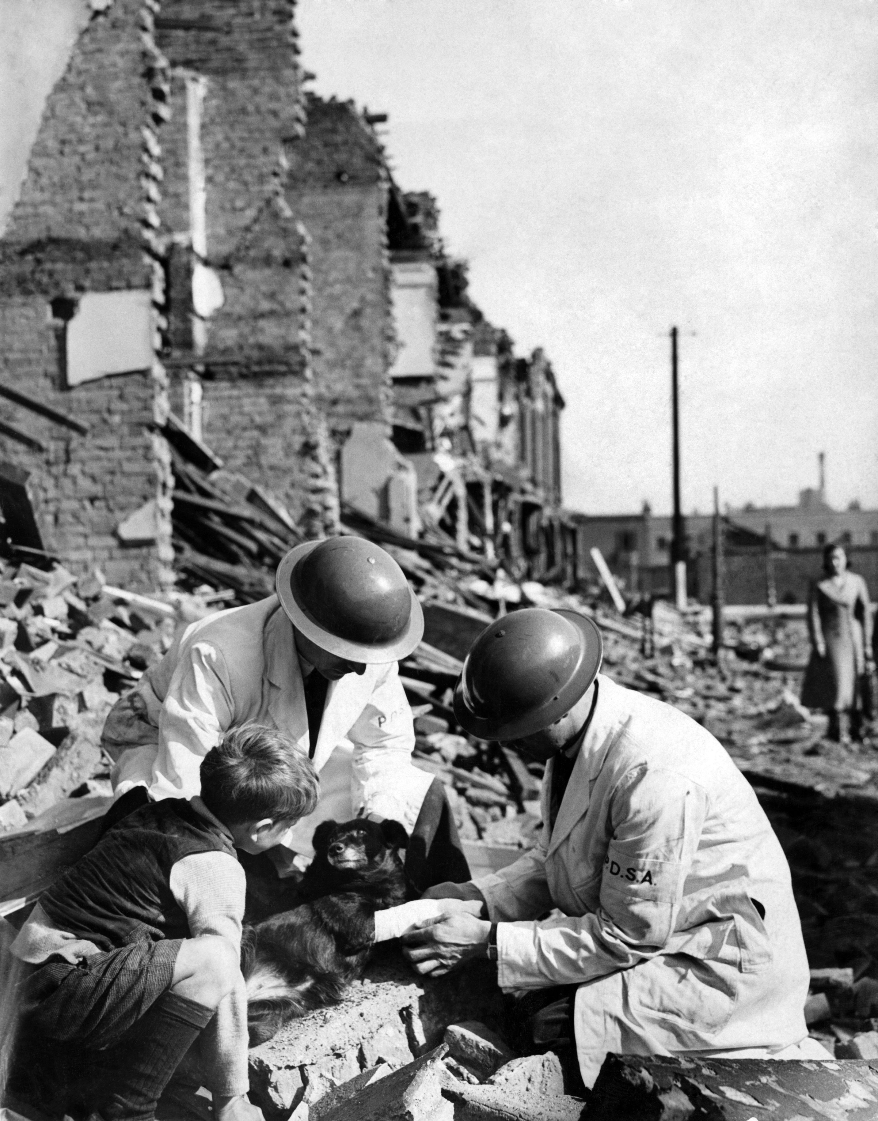 Volunteers rescuing an injured dog from the rubble, 23 May 1941. 