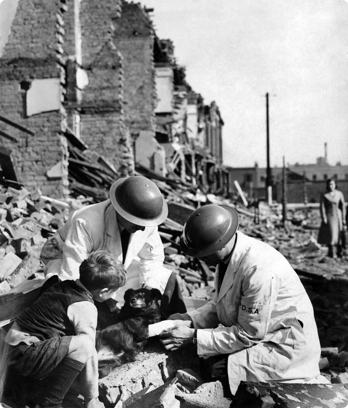 Volunteers rescuing an injured dog from the rubble, 23 May 1941.