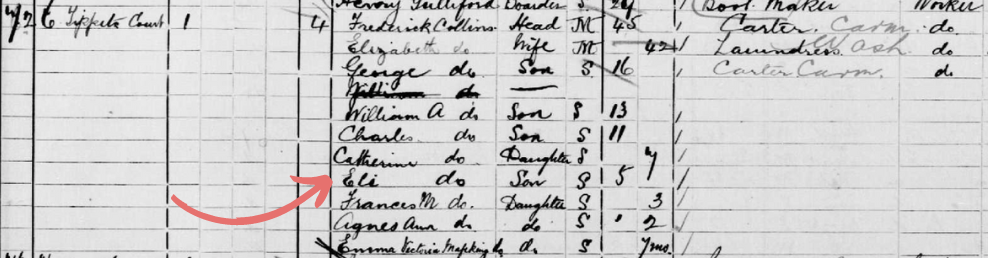 Eli Collins in the 1901 Census.
