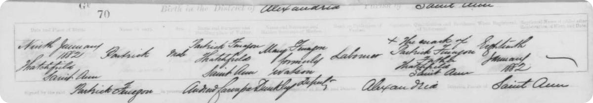 Patrick A. Finegan's birth record
