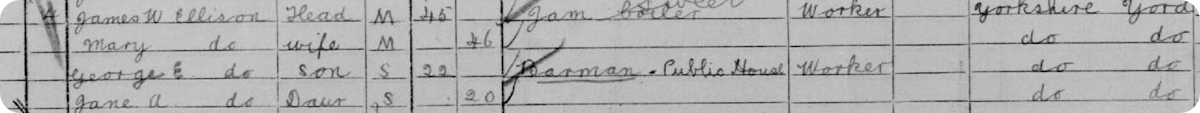 George Ellison in the 1901 Census.