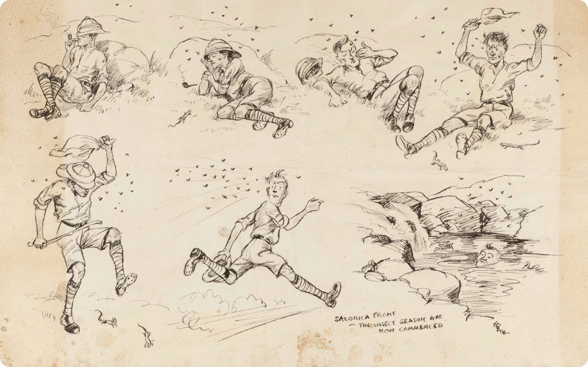 A sketch depicting the insects on the Salonika Front, a front line that was established through Albania and Greece.