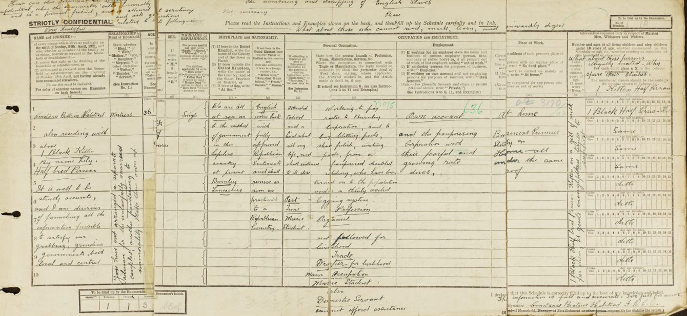 Halstead's Census return, covered in musings and protests.