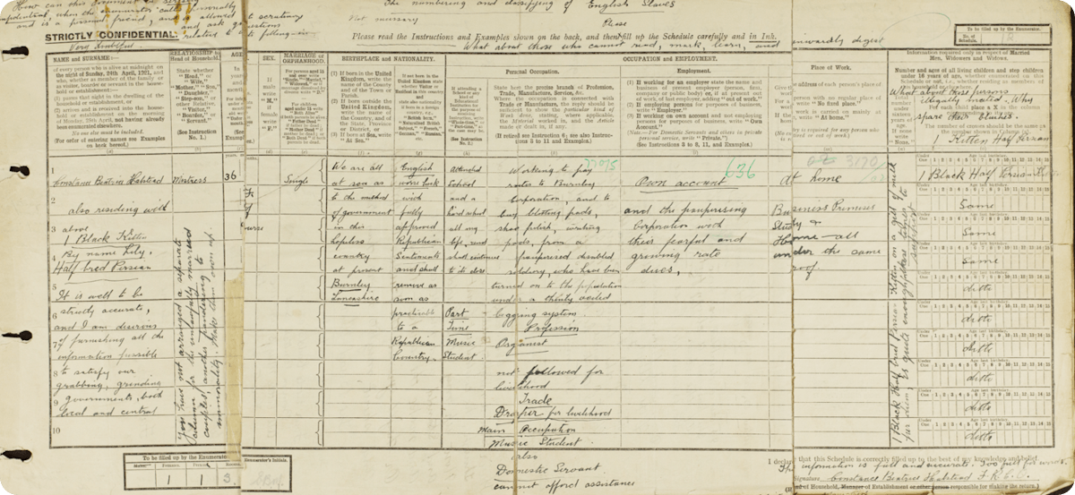 Halstead's Census return, covered in musings and protests.