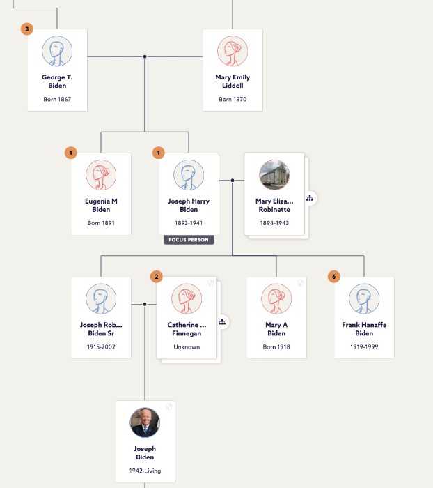 legacy family tree 8 uk