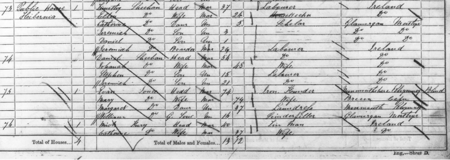Merthyr Tydfil in the 1851 Census