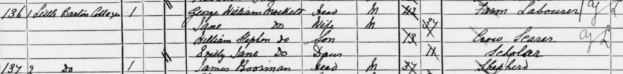 census snippet