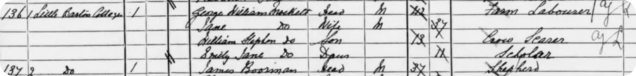 census snippet