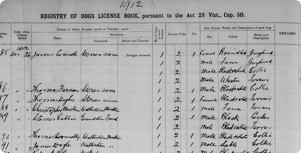 Image from the Ireland Dog Licence Registers