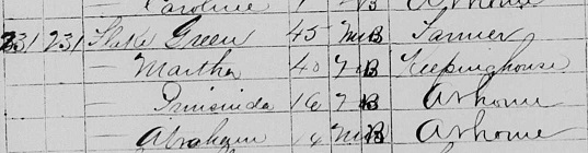 Green Flake, freed slave in 1870 US Census.