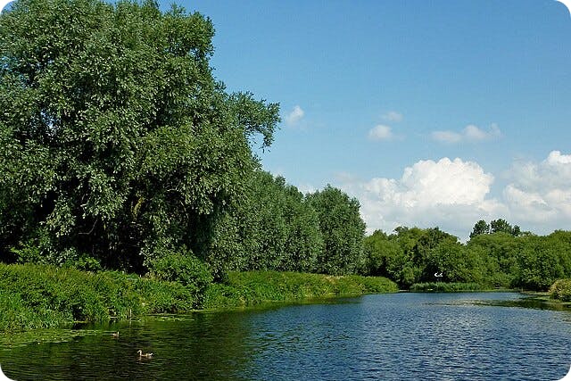 The River Soar West of Cossington in Leicestershire - Wikimedia Commons