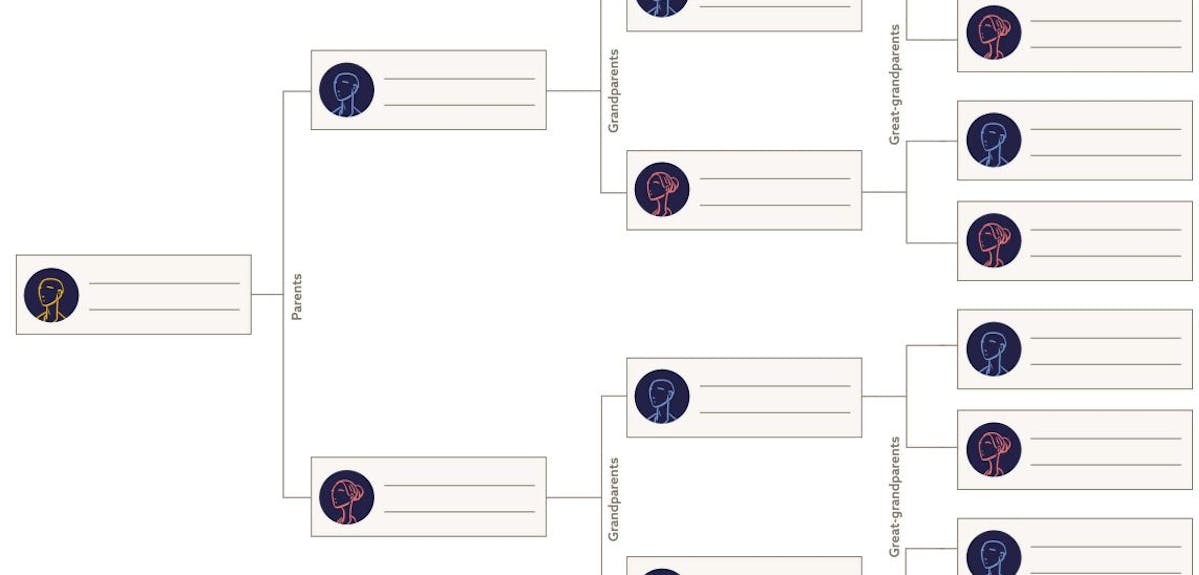 Genealogy Tree Template from images.prismic.io