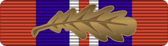Medal for being mentioned in dispatches in World War 2