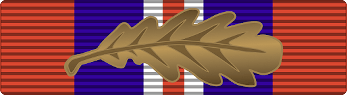 Medal for being mentioned in dispatches in World War 2