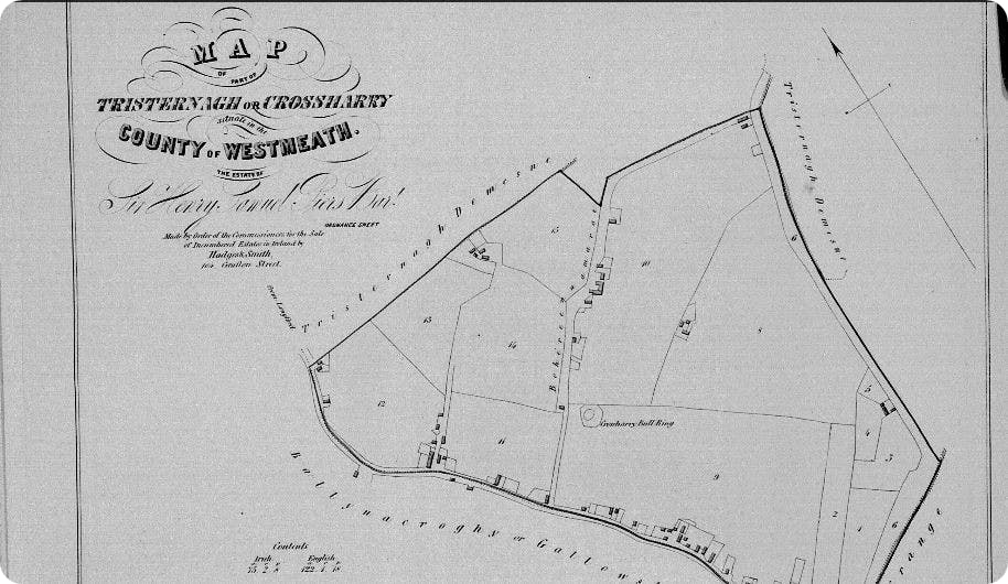 Image from Landed Estates Court Rentals 1850-1885