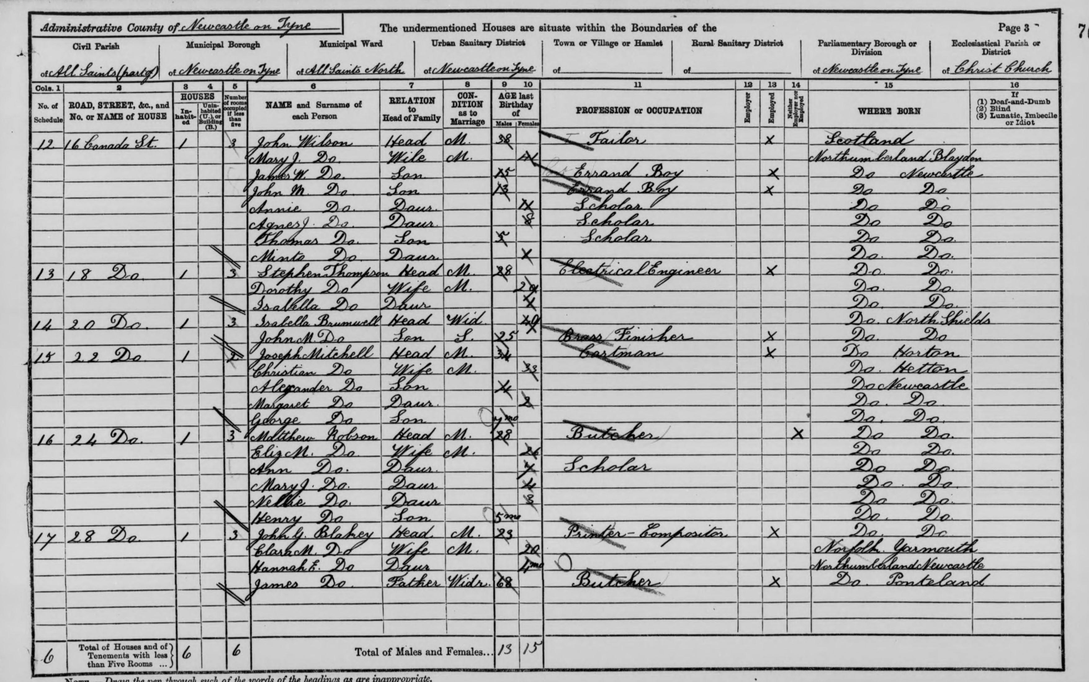 1891 census page.