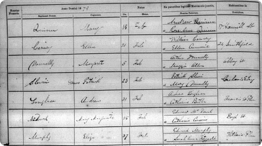 An Irish baptism record, 1879