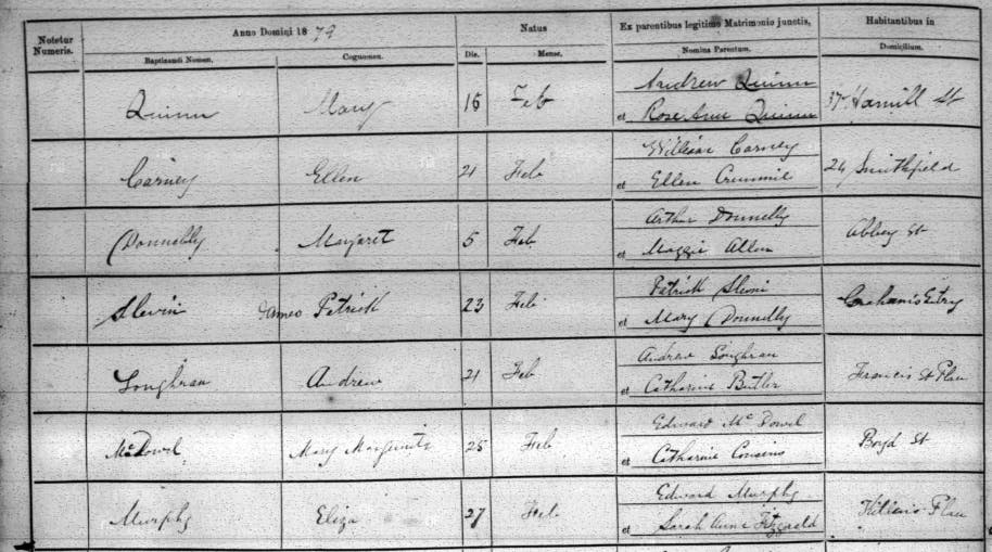 An Irish baptism record, 1879