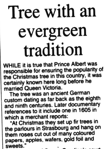 The history of the tree: Blog America tree the Queen Christmas how introduced | Christmas to Victoria