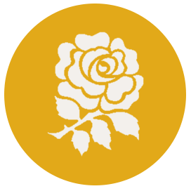 Rose, emblem of England: search ancestry records online