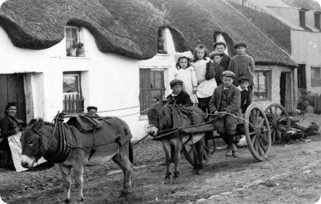 Irish tenant farmers