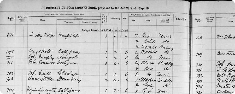 Image from the Ireland Dog Licence Registers