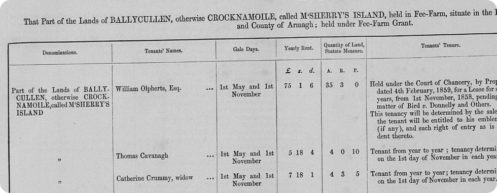 Image from the Landed Estates Court Rentals 1850-1885