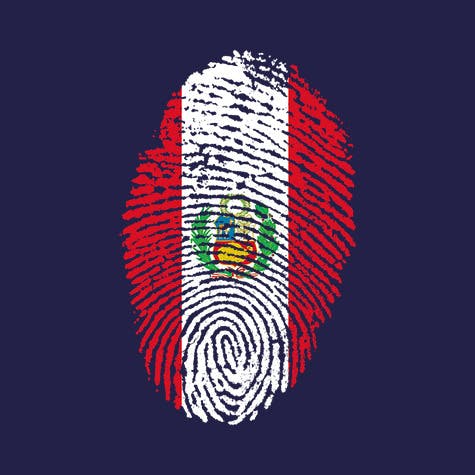 Illustration of a fingerprint coloured with the Peruvian flag