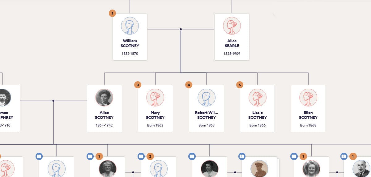 family tree