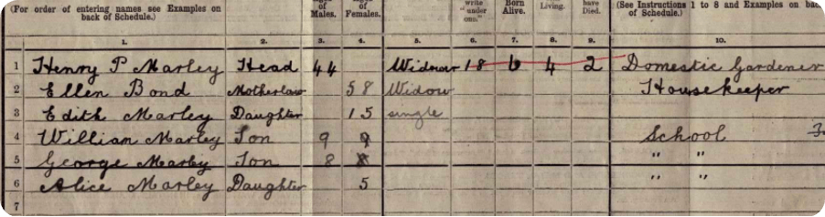 Ellen helping her son-in-law take care of the children in the 1911 Census.