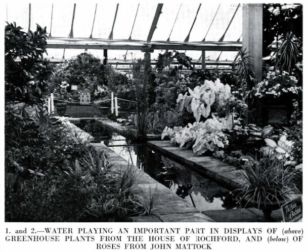 Chelsea Flower Show, 1973