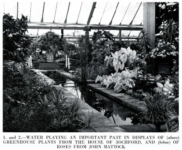 Chelsea Flower Show, 1973
