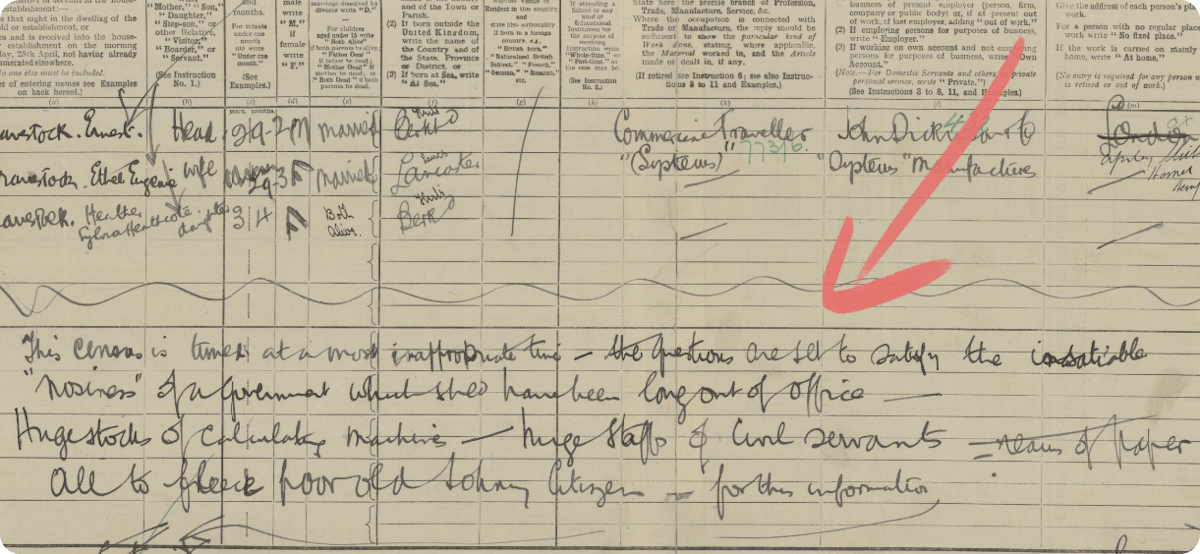 Many people used their census returns to make political statements or protests. View this record here.